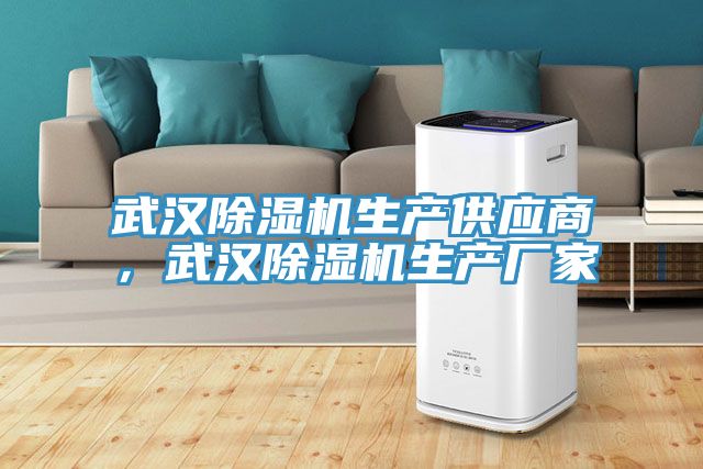 武漢除濕機生產供應商，武漢除濕機生產廠家