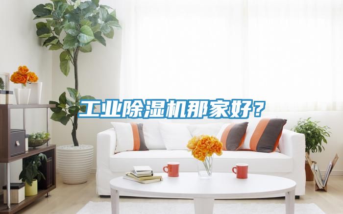 工業除濕機那家好？