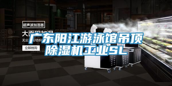 廣東陽江游泳館吊頂除濕機工業SL