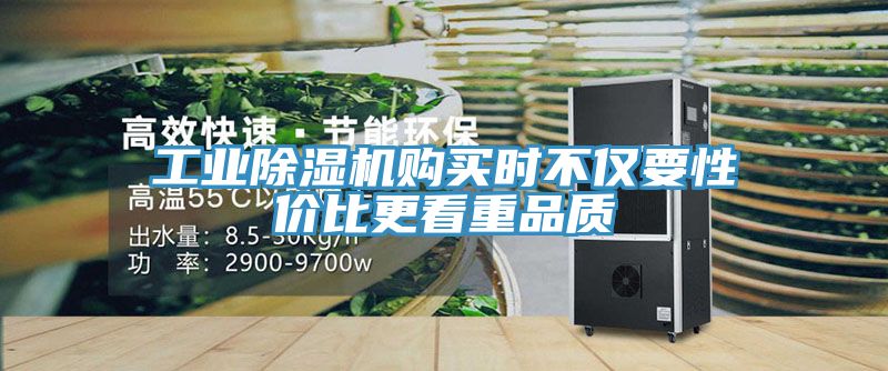 工業(yè)除濕機購買時不僅要性價比更看重品質