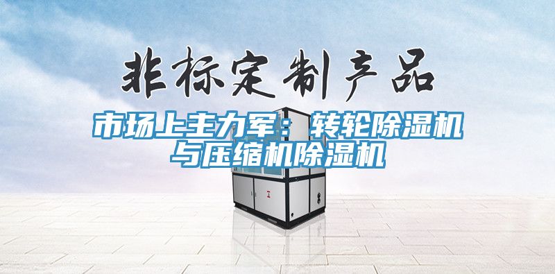 市場上主力軍：轉輪除濕機與壓縮機除濕機