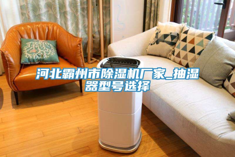 河北霸州市除濕機廠家_抽濕器型號選擇