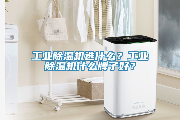 工業(yè)除濕機選什么？工業(yè)除濕機什么牌子好？