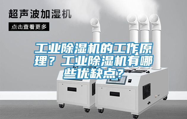工業除濕機的工作原理？工業除濕機有哪些優缺點？