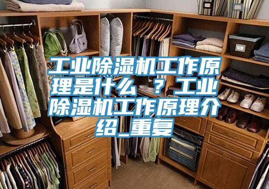 工業除濕機工作原理是什么 ？工業除濕機工作原理介紹_重復
