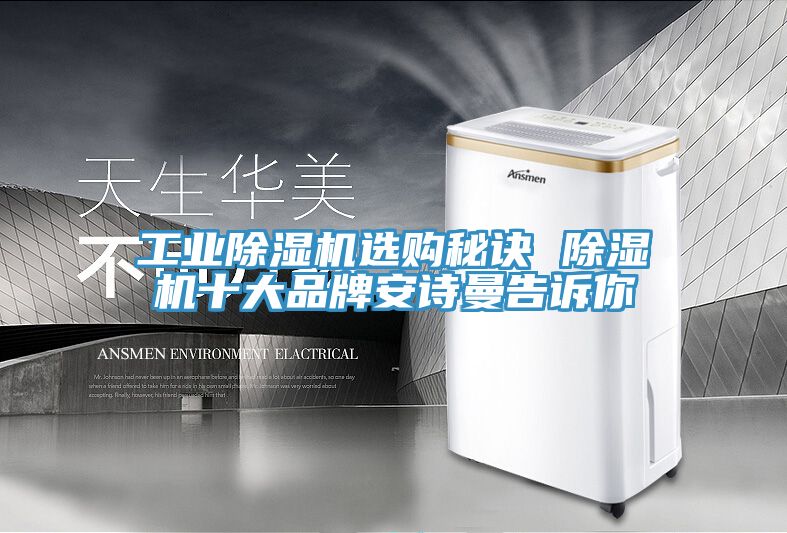工業除濕機選購秘訣 除濕機十大品牌安詩曼告訴你