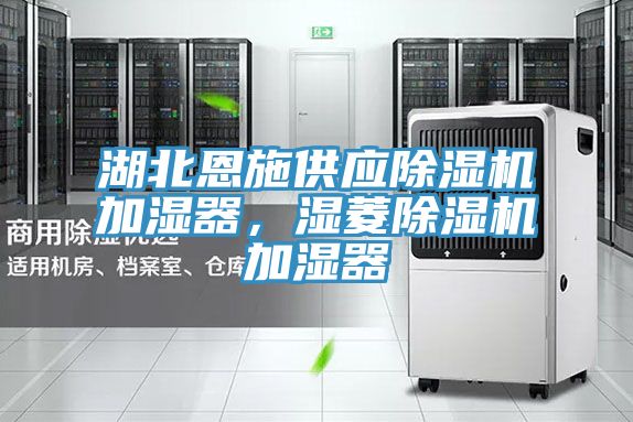 湖北恩施供應除濕機加濕器，濕菱除濕機加濕器