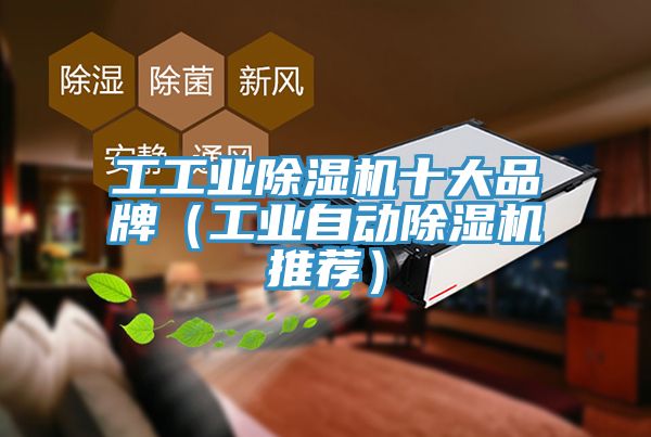 工工業除濕機十大品牌（工業自動除濕機推薦）