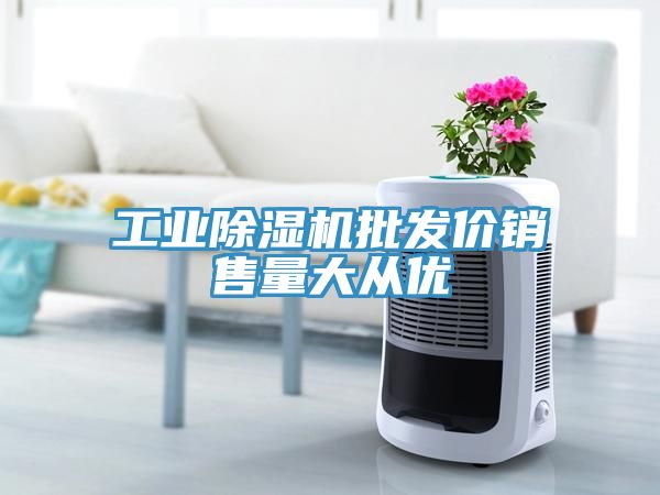工業除濕機批發價銷售量大從優
