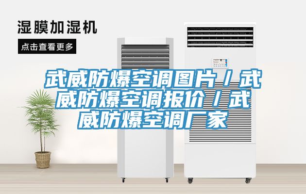 武威防爆空調圖片／武威防爆空調報價／武威防爆空調廠家