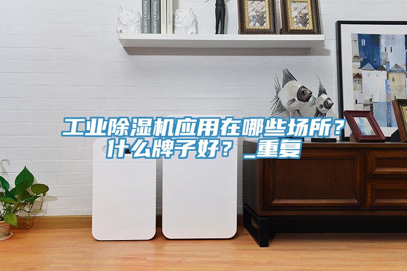 工業除濕機應用在哪些場所？什么牌子好？_重復