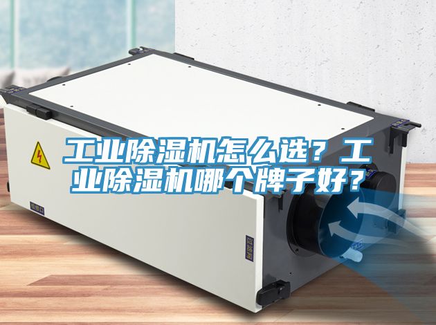 工業除濕機怎么選？工業除濕機哪個牌子好？
