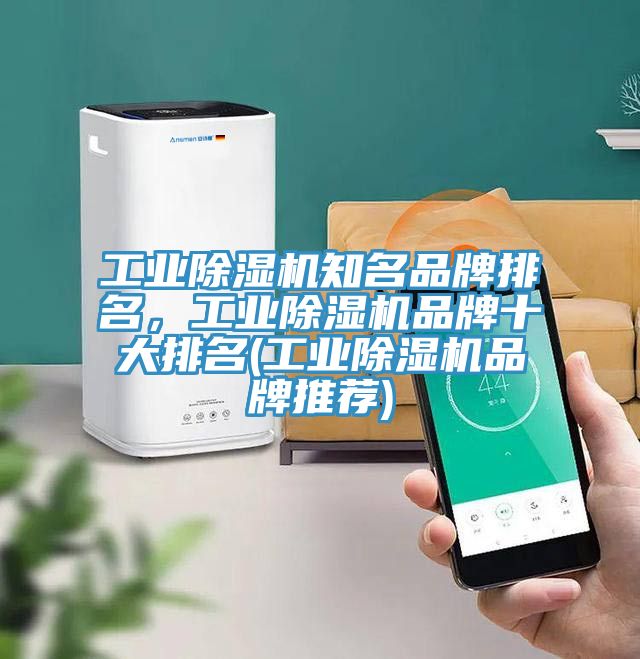 工業(yè)除濕機(jī)知名品牌排名，工業(yè)除濕機(jī)品牌十大排名(工業(yè)除濕機(jī)品牌推薦)