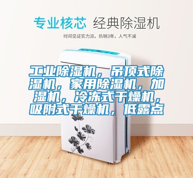 工業除濕機，吊頂式除濕機，家用除濕機，加濕機，冷凍式干燥機，吸附式干燥機，低露點
