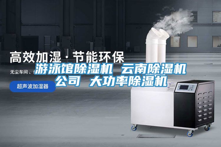 游泳館除濕機 云南除濕機公司 大功率除濕機