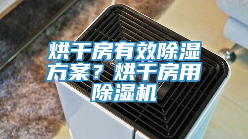 烘干房有效除濕方案？烘干房用除濕機