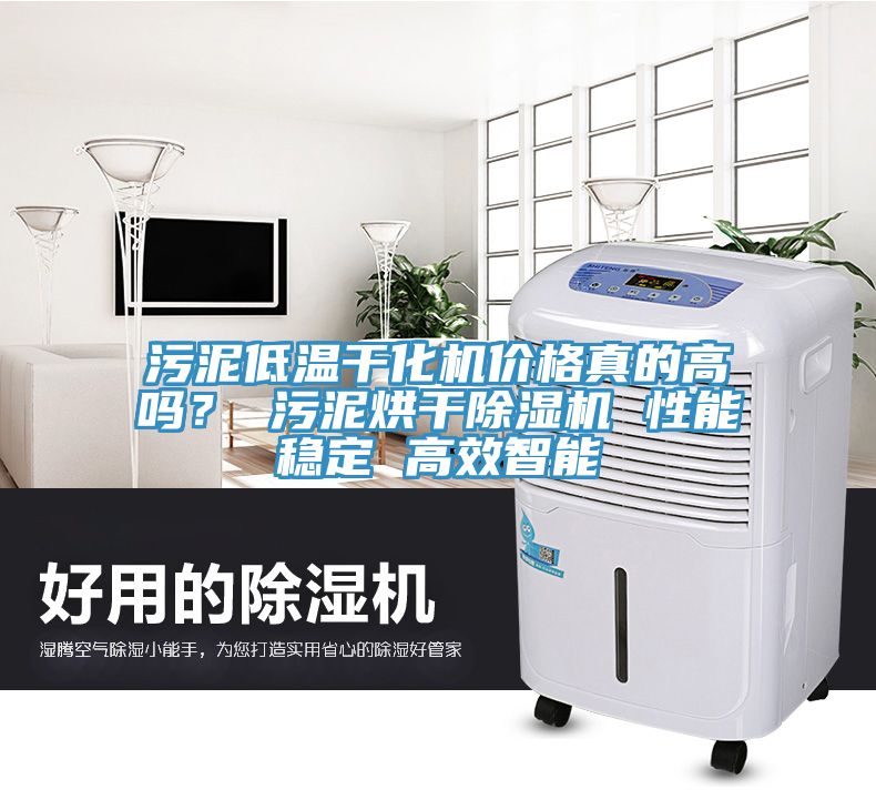 污泥低溫干化機價格真的高嗎？ 污泥烘干除濕機 性能穩定 高效智能