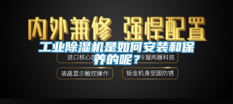 工業除濕機是如何安裝和保養的呢？