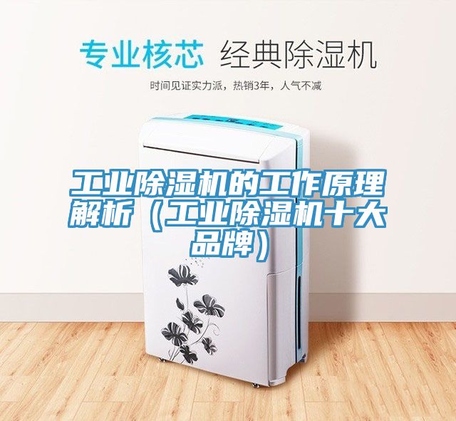工業除濕機的工作原理解析（工業除濕機十大品牌）