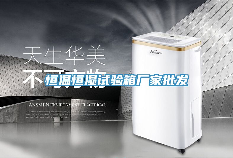 恒溫恒濕試驗箱廠家批發