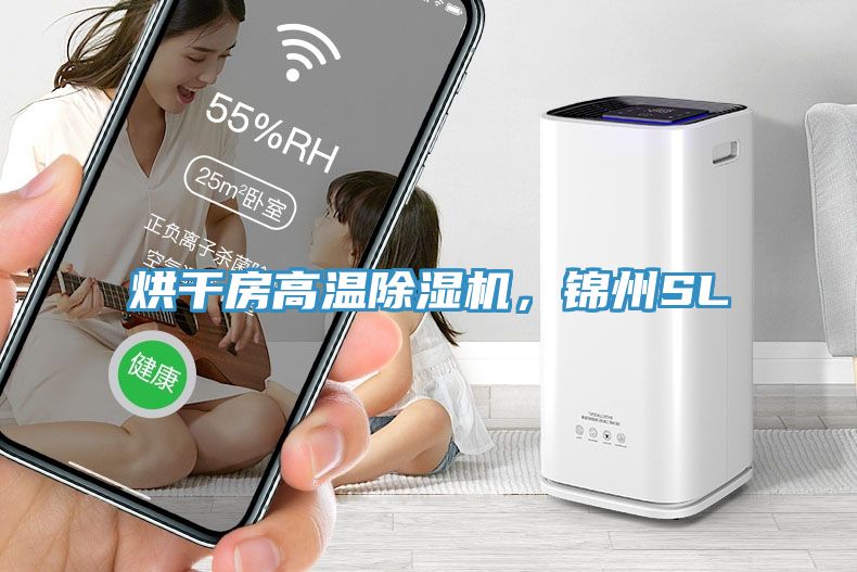 烘干房高溫除濕機(jī)，錦州SL