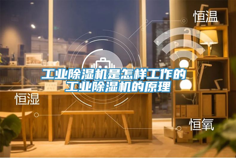 工業除濕機是怎樣工作的 工業除濕機的原理