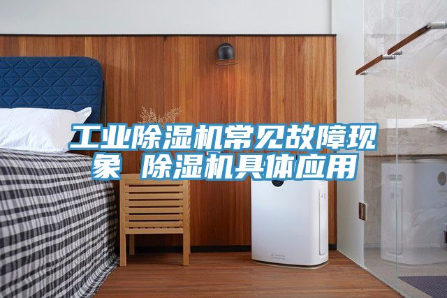 工業除濕機常見故障現象 除濕機具體應用