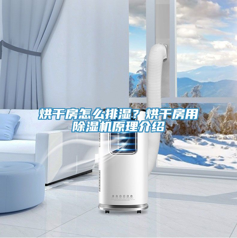 烘干房怎么排濕？烘干房用除濕機原理介紹