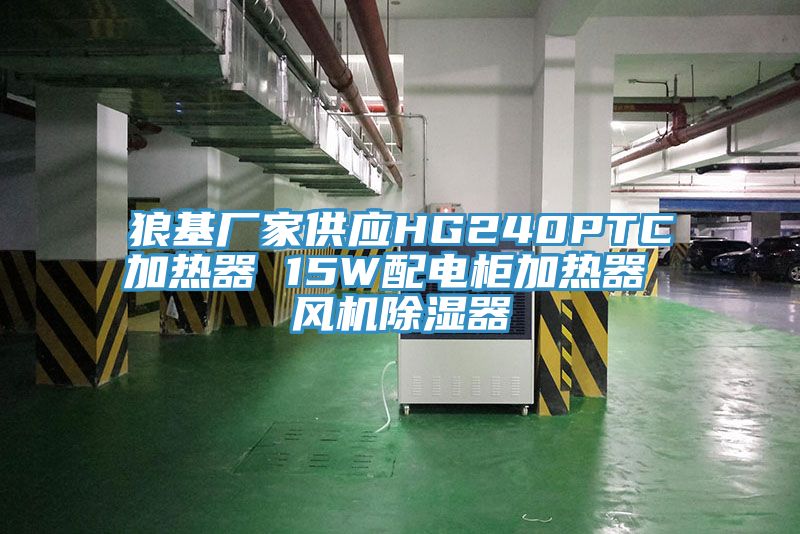 狼基廠家供應HG240PTC加熱器 15W配電柜加熱器 風機除濕器