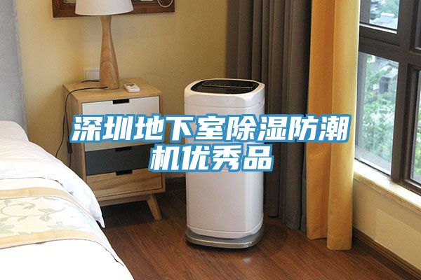 深圳地下室除濕防潮機優秀品