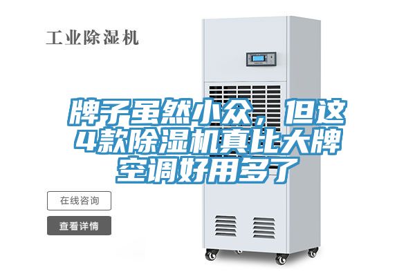 牌子雖然小眾，但這4款除濕機真比大牌空調好用多了