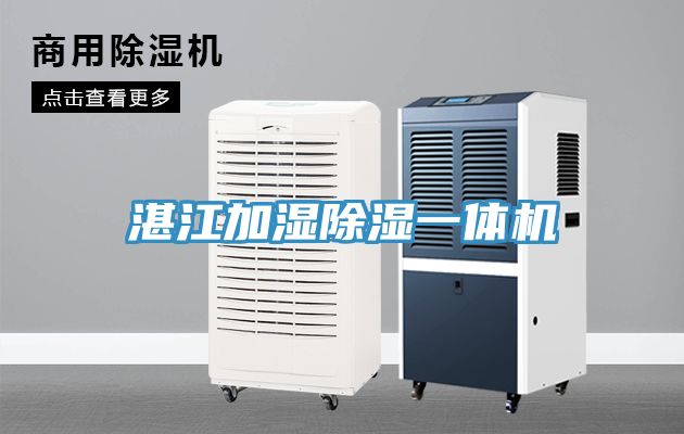 湛江加濕除濕一體機