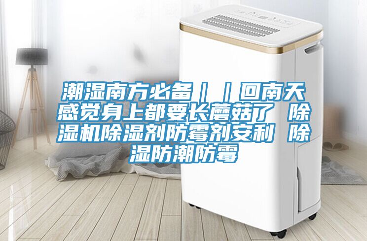 潮濕南方必備||回南天感覺身上都要長蘑菇了 除濕機除濕劑防霉劑安利 除濕防潮防霉