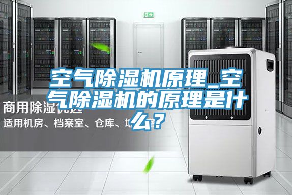 空氣除濕機原理_空氣除濕機的原理是什么？