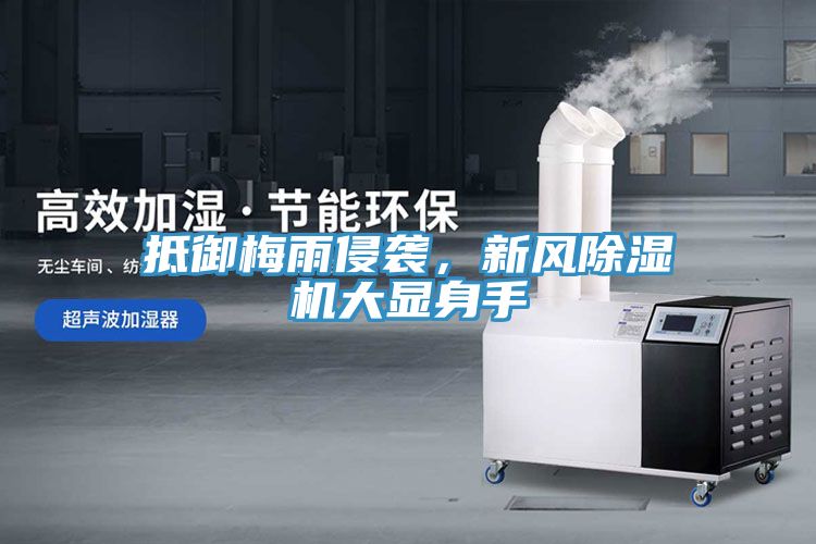 抵御梅雨侵襲，新風除濕機大顯身手