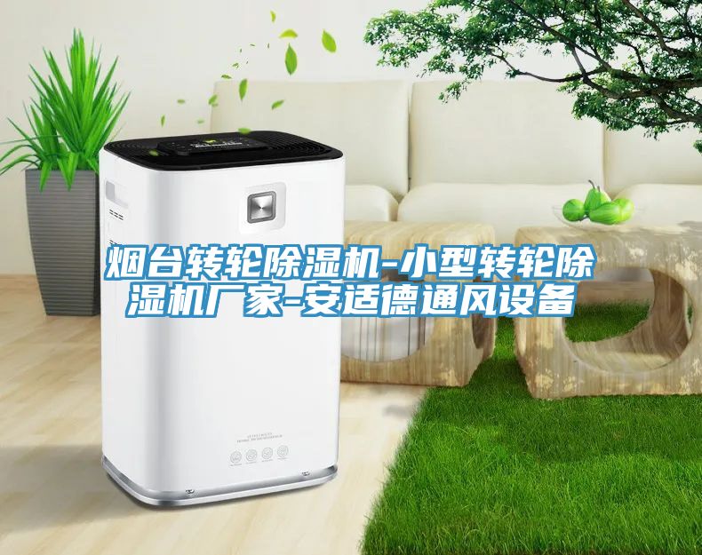 煙臺轉輪除濕機-小型轉輪除濕機廠家-安適德通風設備
