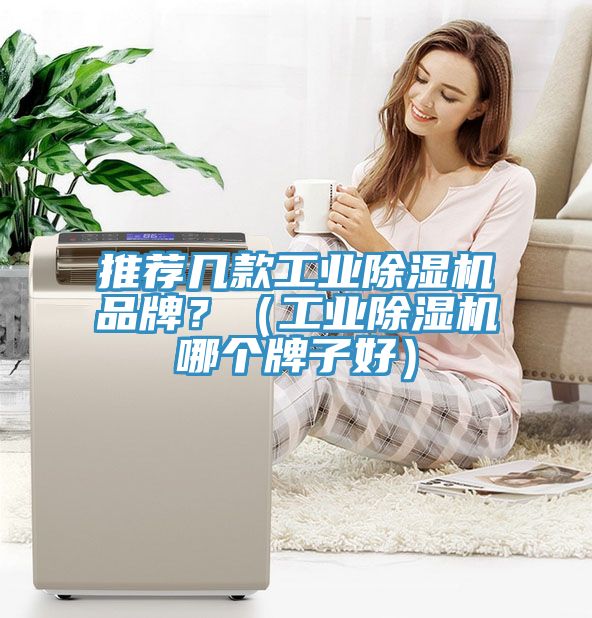 推薦幾款工業除濕機品牌？（工業除濕機哪個牌子好）