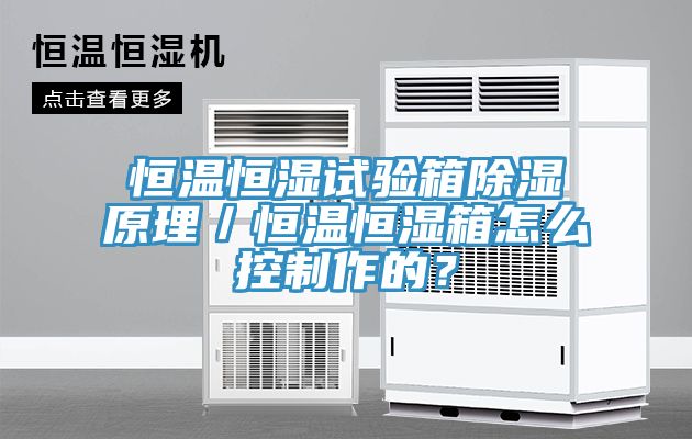 恒溫恒濕試驗箱除濕原理／恒溫恒濕箱怎么控制作的？
