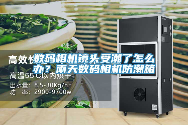 數碼相機鏡頭受潮了怎么辦？雨天數碼相機防潮箱
