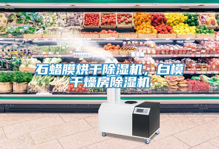 石蠟膜烘干除濕機，白模干燥房除濕機