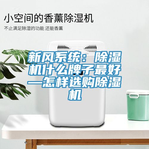 新風(fēng)系統(tǒng)：除濕機(jī)什么牌子最好—怎樣選購(gòu)除濕機(jī)