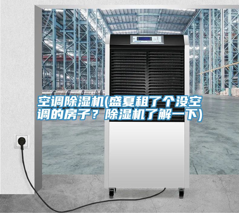 空調除濕機(盛夏租了個沒空調的房子？除濕機了解一下)