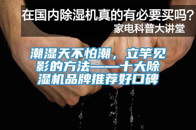 潮濕天不怕潮,立竿見影的方法——十大除濕機品牌推薦好口碑