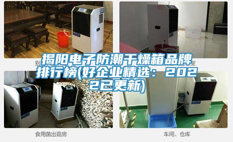 揭陽電子防潮干燥箱品牌排行榜(好企業精選：2022已更新)