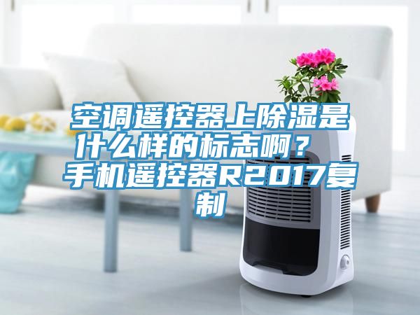 空調遙控器上除濕是什么樣的標志啊? 手機遙控器R2017復制