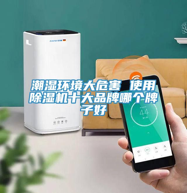 潮濕環(huán)境大危害 使用除濕機十大品牌哪個牌子好