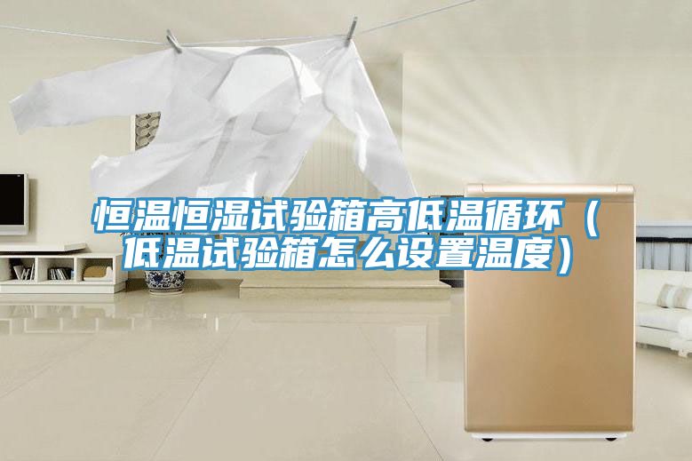恒溫恒濕試驗箱高低溫循環(huán)（低溫試驗箱怎么設(shè)置溫度）