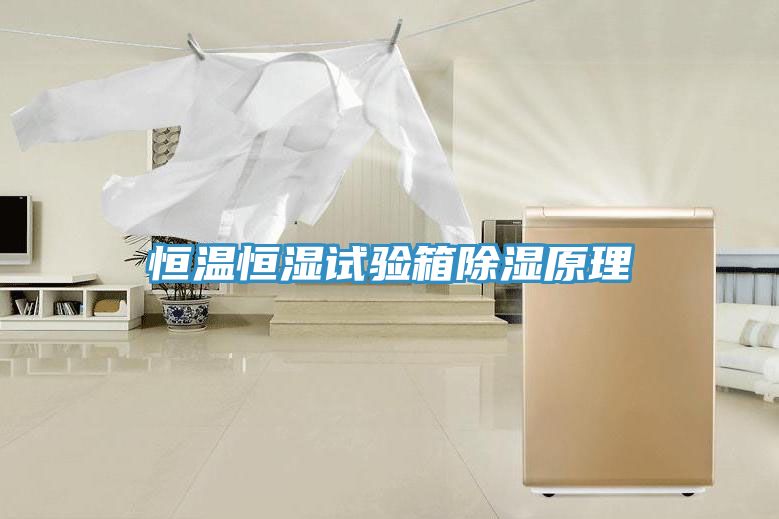 恒溫恒濕試驗箱除濕原理