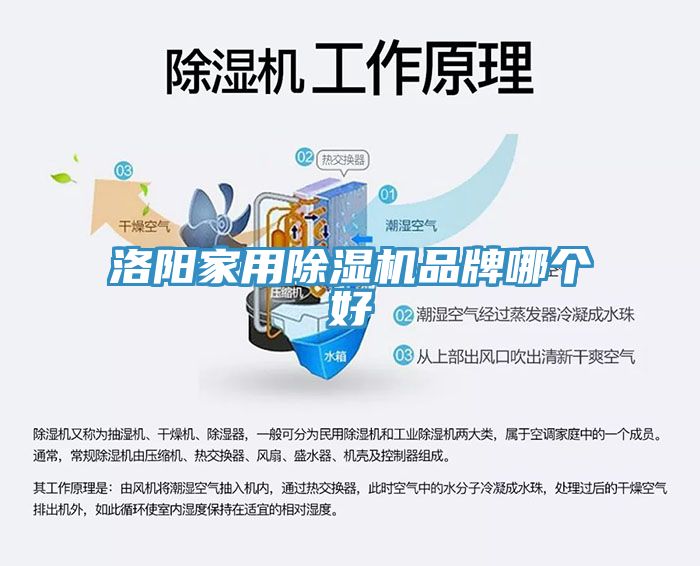 洛陽家用除濕機品牌哪個好