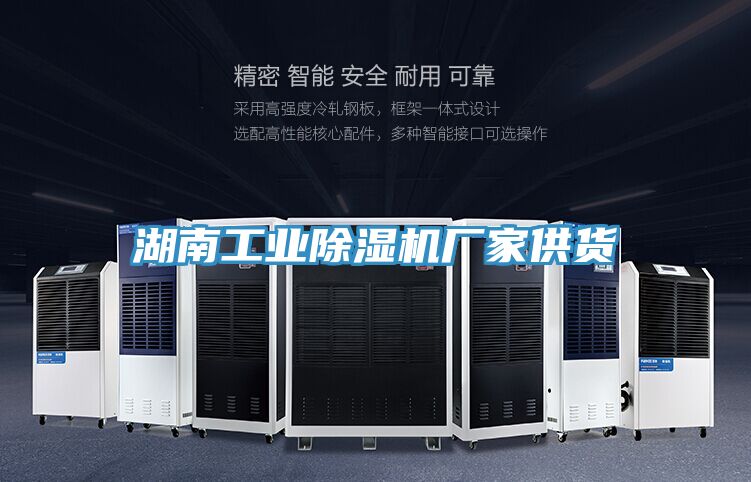 湖南工業除濕機廠家供貨